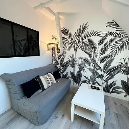 Apartment L'ensoleille - Classe 2 Etoiles - Nay Centre -