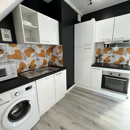 Apartment L'ensoleille - Classe 2 Etoiles - Nay Centre -